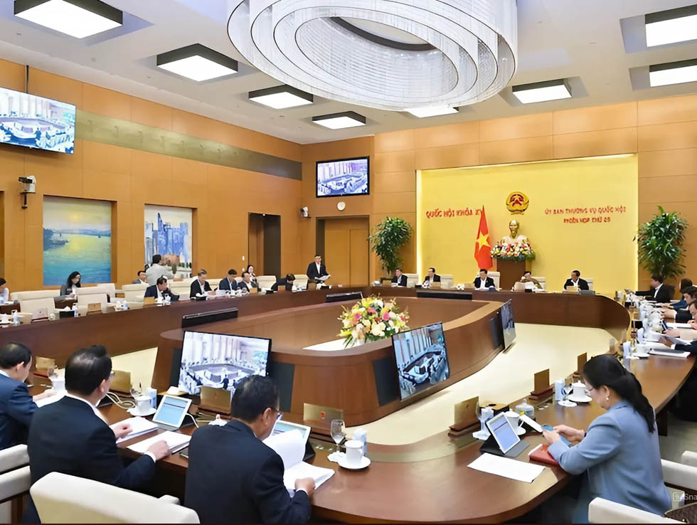 Thiết kế đáp ứng tiêu chuẩn chuyên nghiệp