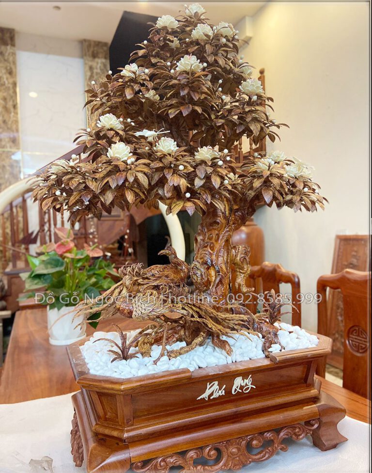 Cây hồng cổ thụ gỗ Sưa